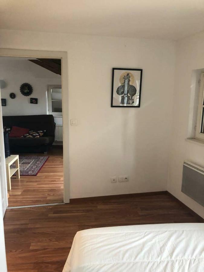 Appartement Avec Balcon Centre Ville Страсбург Екстериор снимка